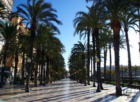 ★★Apartamentos Marin★★ Alicante Extérieur photo